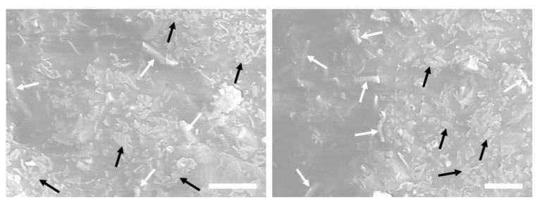 https://cdn.ncbi.nlm.nih.gov/pmc/blobs/a6f3/7559061/e80c7c809cf5/nanomaterials-10-01682-g007.jpg