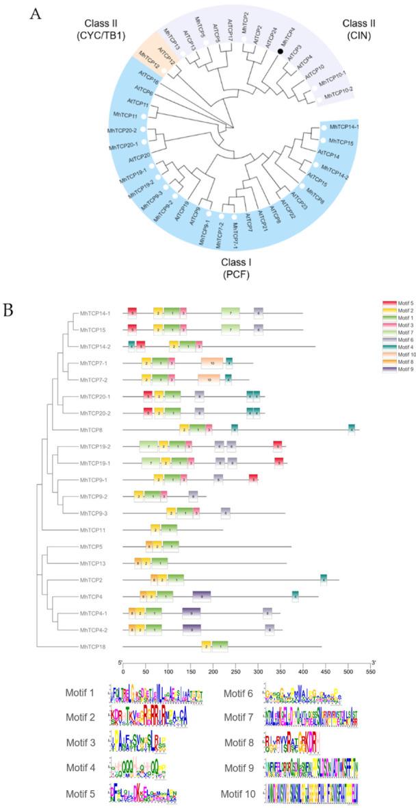 https://cdn.ncbi.nlm.nih.gov/pmc/blobs/a6f4/9409405/46a57fd791a6/ijms-23-09051-g002a.jpg