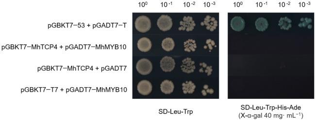 https://cdn.ncbi.nlm.nih.gov/pmc/blobs/a6f4/9409405/59aa7eb770c6/ijms-23-09051-g007.jpg