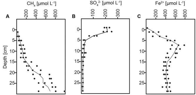 https://cdn.ncbi.nlm.nih.gov/pmc/blobs/a6f6/5389135/6076dbfbc3d7/fmicb-08-00619-g001.jpg