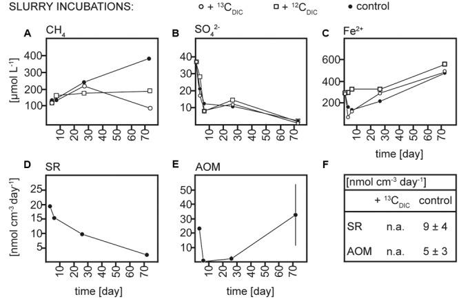https://cdn.ncbi.nlm.nih.gov/pmc/blobs/a6f6/5389135/616752bc692a/fmicb-08-00619-g003.jpg
