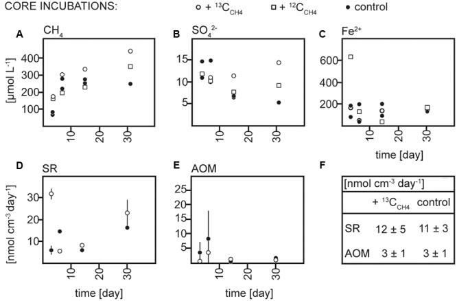 https://cdn.ncbi.nlm.nih.gov/pmc/blobs/a6f6/5389135/e388b1f6fee0/fmicb-08-00619-g002.jpg