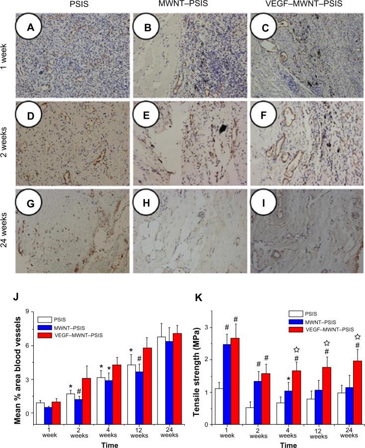 https://cdn.ncbi.nlm.nih.gov/pmc/blobs/a6f7/3956480/d8ebae648903/ijn-9-1275Fig4.jpg