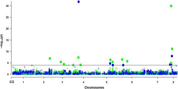 https://cdn.ncbi.nlm.nih.gov/pmc/blobs/a6f8/12375853/07491975fd72/TPG2-18-e70096-g006.jpg