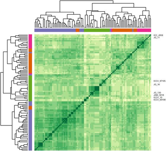 https://cdn.ncbi.nlm.nih.gov/pmc/blobs/a6f8/12375853/28d28d556082/TPG2-18-e70096-g004.jpg
