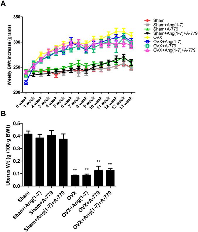 https://cdn.ncbi.nlm.nih.gov/pmc/blobs/a6f8/5442122/67fe990b8921/41598_2017_2570_Fig1_HTML.jpg