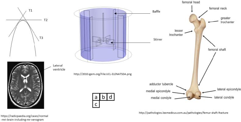 https://cdn.ncbi.nlm.nih.gov/pmc/blobs/a6f8/7531207/f4b7b5e484c8/joeb-10-002-g001.jpg