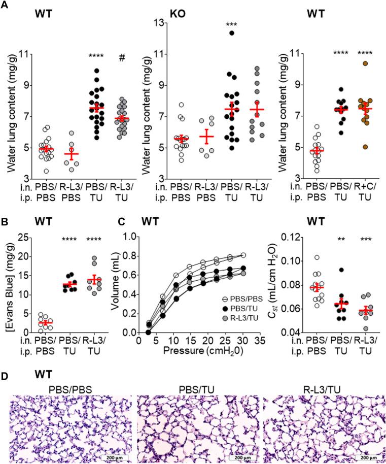 https://cdn.ncbi.nlm.nih.gov/pmc/blobs/a6f8/9868633/b6652ca7a206/fphys-13-1069466-g004.jpg