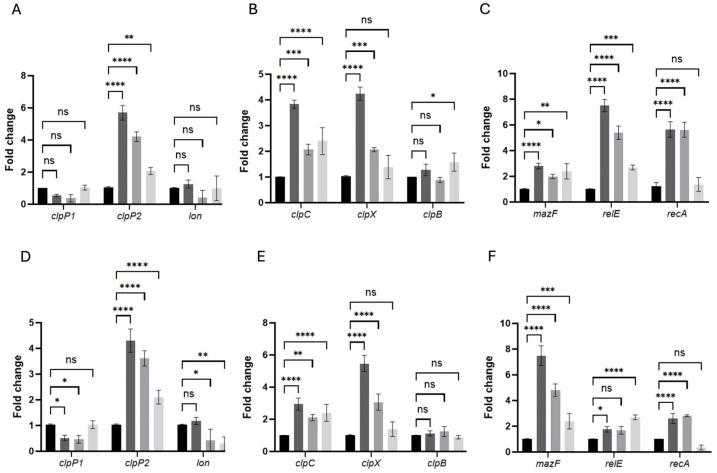 https://cdn.ncbi.nlm.nih.gov/pmc/blobs/a6f9/12291809/270d79ae1d41/antibiotics-14-00628-g006.jpg