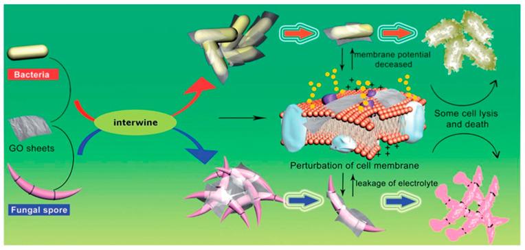 https://cdn.ncbi.nlm.nih.gov/pmc/blobs/a6fb/11274442/14f3784a8ccd/biomimetics-09-00425-g009.jpg