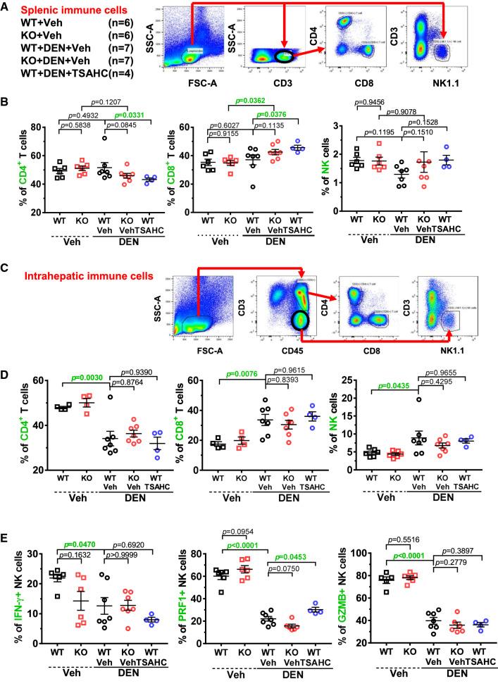 https://cdn.ncbi.nlm.nih.gov/pmc/blobs/a6fd/11072545/e55567e6fc50/18_2021_4051_Fig4_HTML.jpg