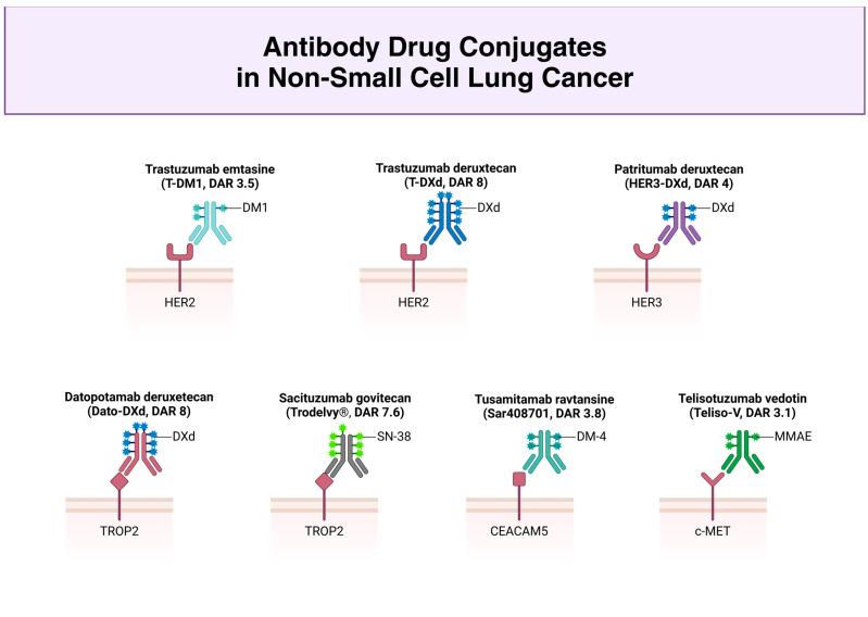 https://cdn.ncbi.nlm.nih.gov/pmc/blobs/a6fd/11719753/1d1b1c155641/ijms-26-00221-g002.jpg
