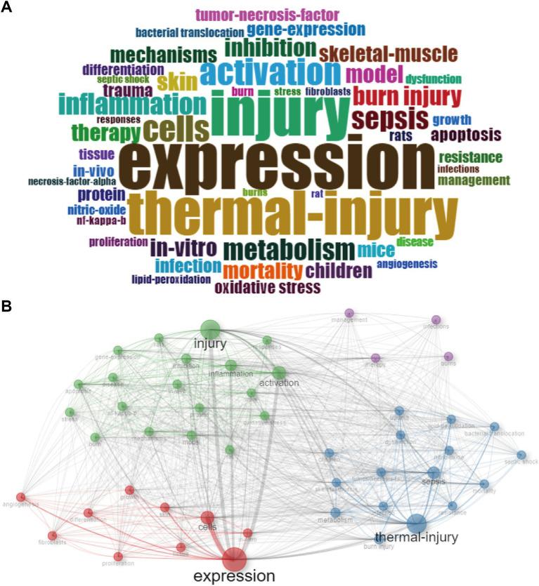https://cdn.ncbi.nlm.nih.gov/pmc/blobs/a700/11739346/80a057f4e7c9/fmed-11-1451371-g005.jpg