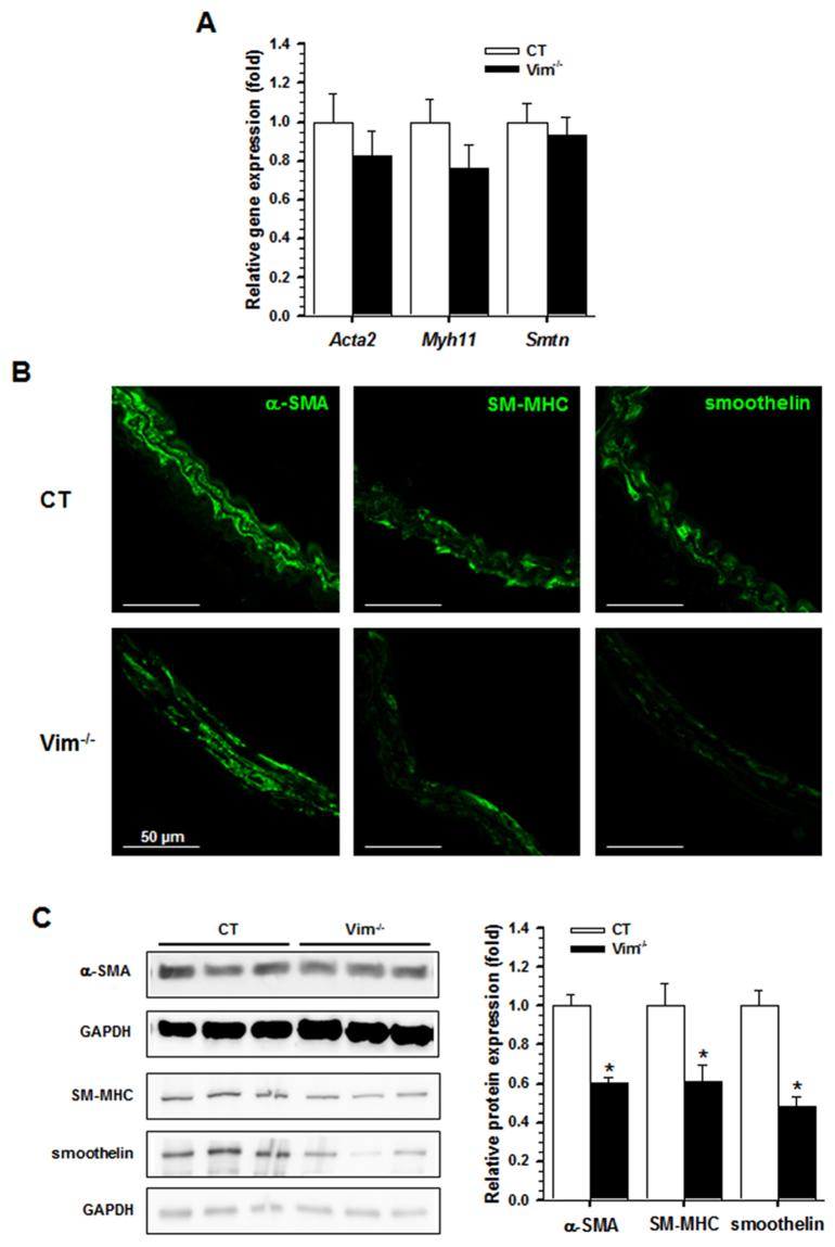 https://cdn.ncbi.nlm.nih.gov/pmc/blobs/a702/5599644/dc18914365ae/41598_2017_12024_Fig4_HTML.jpg