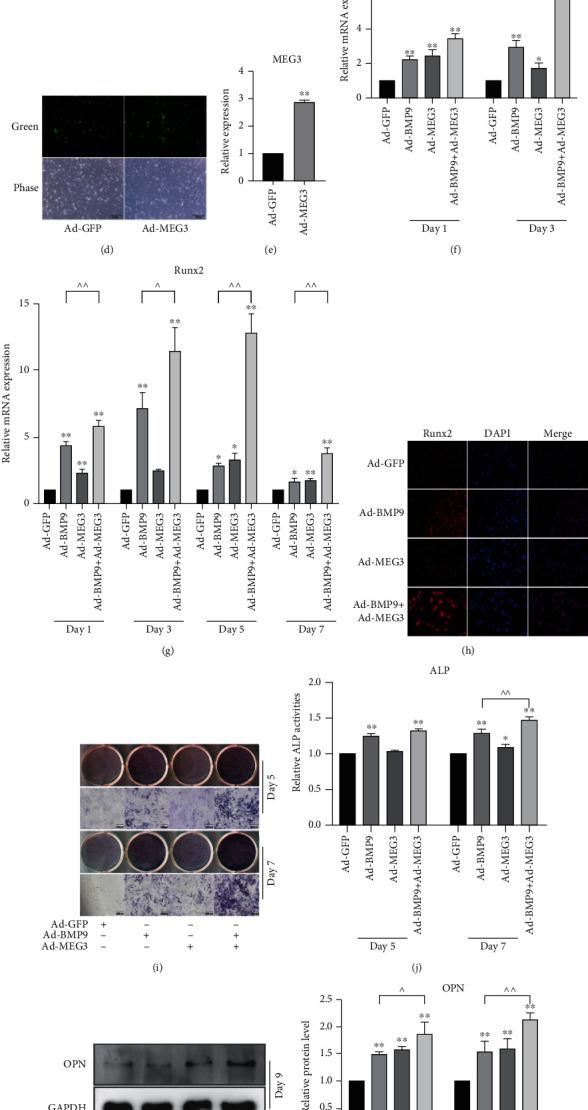 https://cdn.ncbi.nlm.nih.gov/pmc/blobs/a703/9908332/295885d158b0/OMCL2023-3563663.001.jpg