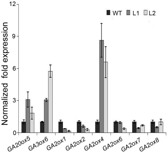 https://cdn.ncbi.nlm.nih.gov/pmc/blobs/a704/3445508/932fbd3652f1/pone.0045568.g004.jpg