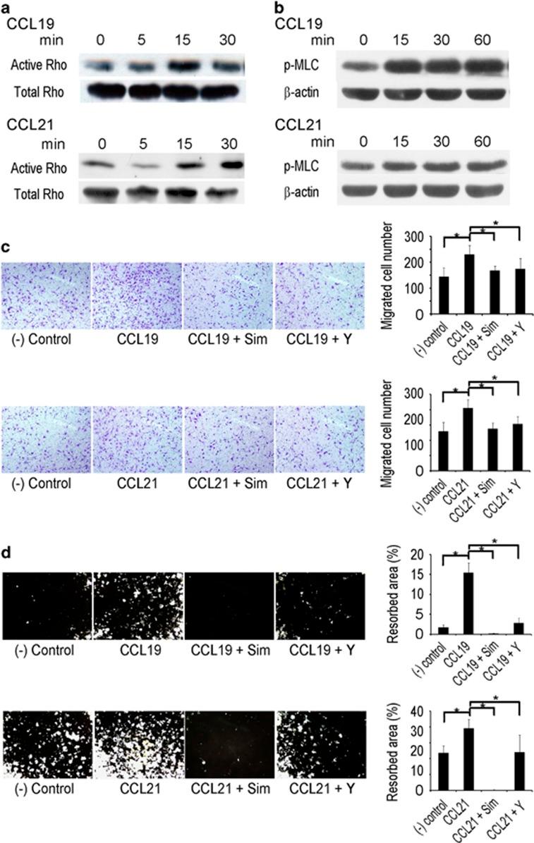 https://cdn.ncbi.nlm.nih.gov/pmc/blobs/a706/5565950/2ba53edb828a/emm2017100f7.jpg
