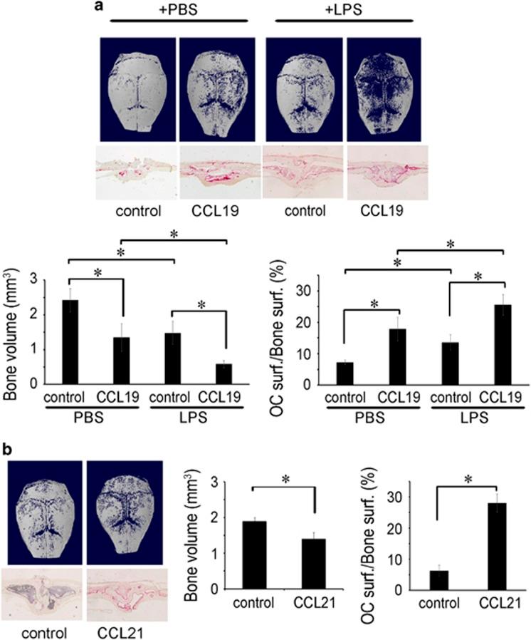 https://cdn.ncbi.nlm.nih.gov/pmc/blobs/a706/5565950/c343aec6d3c2/emm2017100f8.jpg