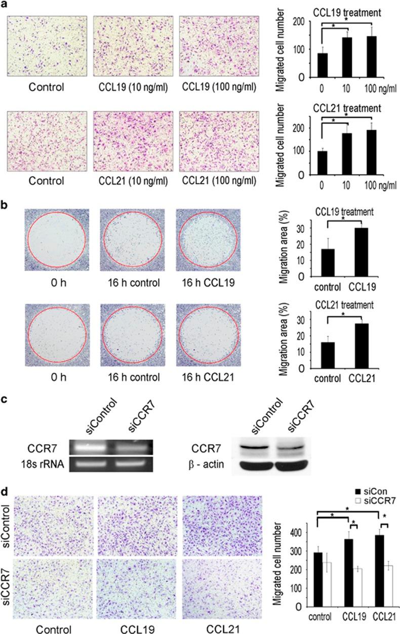 https://cdn.ncbi.nlm.nih.gov/pmc/blobs/a706/5565950/c532b39795cf/emm2017100f4.jpg