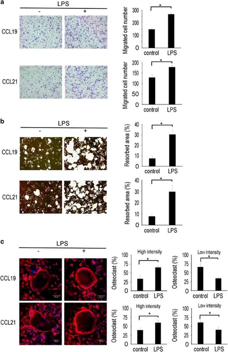 https://cdn.ncbi.nlm.nih.gov/pmc/blobs/a706/5565950/f649370cd508/emm2017100f6.jpg
