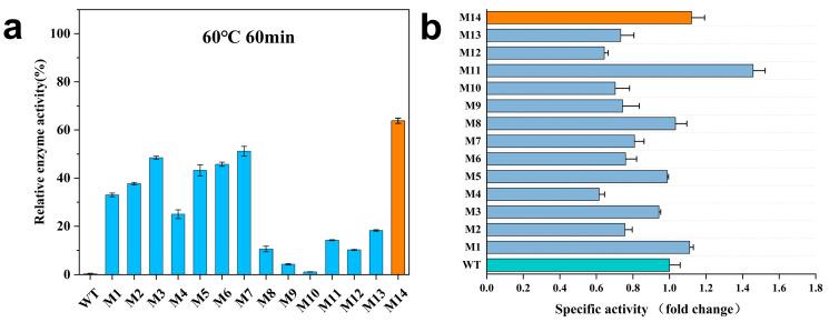 https://cdn.ncbi.nlm.nih.gov/pmc/blobs/a707/11901772/edfce818a0f7/molecules-30-01160-g003.jpg
