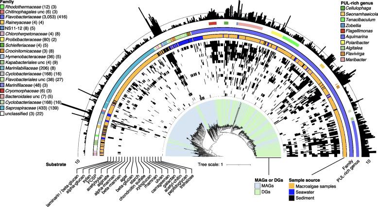 https://cdn.ncbi.nlm.nih.gov/pmc/blobs/a708/10233909/05093ba6e96a/40168_2023_1559_Fig6_HTML.jpg