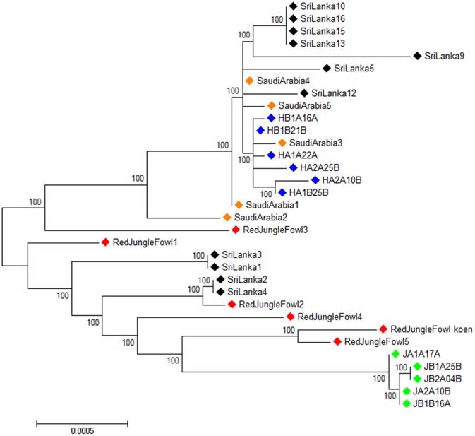 https://cdn.ncbi.nlm.nih.gov/pmc/blobs/a708/6062655/2e672e001862/fgene-09-00264-g0003.jpg