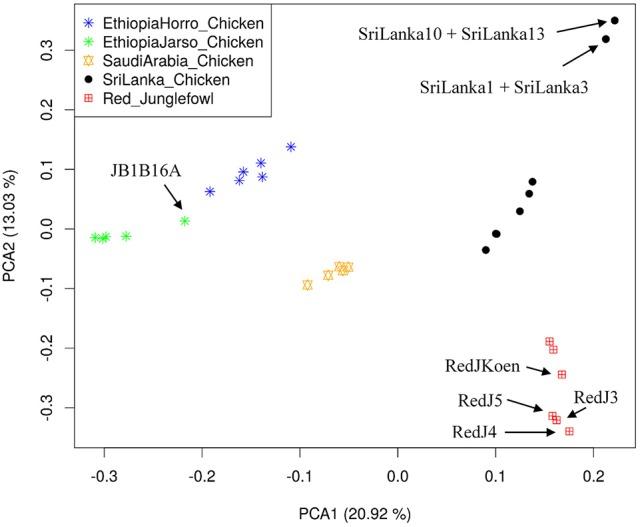 https://cdn.ncbi.nlm.nih.gov/pmc/blobs/a708/6062655/a775d21e4bef/fgene-09-00264-g0001.jpg