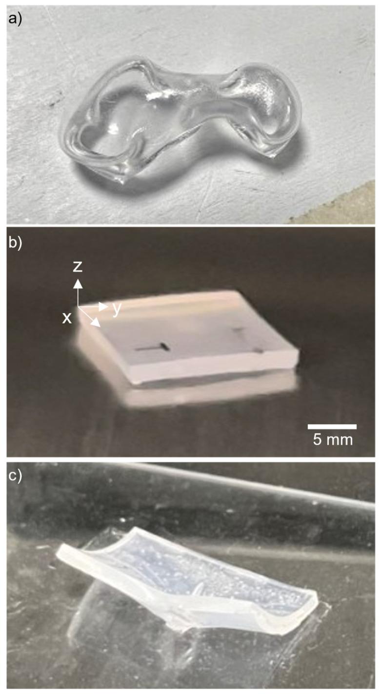 https://cdn.ncbi.nlm.nih.gov/pmc/blobs/a70a/10971817/3e0bd1a0ba7d/micromachines-15-00308-g001.jpg
