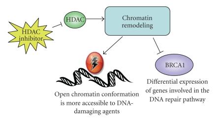 https://cdn.ncbi.nlm.nih.gov/pmc/blobs/a70a/2825770/d4fd2c868d1d/JO2010-891059.002.jpg