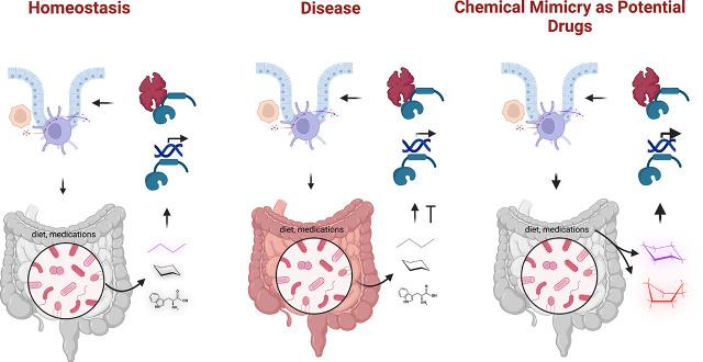 https://cdn.ncbi.nlm.nih.gov/pmc/blobs/a70a/9900867/d74076dfbd62/dmd.122.000860absf1.jpg