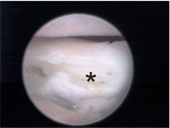 https://cdn.ncbi.nlm.nih.gov/pmc/blobs/a70c/11144893/ec1300055cd7/fvets-11-1193702-g004.jpg