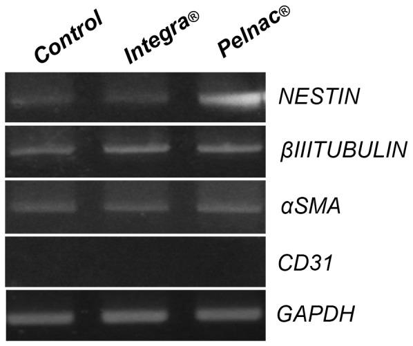 https://cdn.ncbi.nlm.nih.gov/pmc/blobs/a70d/3935879/3538eadbd75f/pone.0089542.g006.jpg