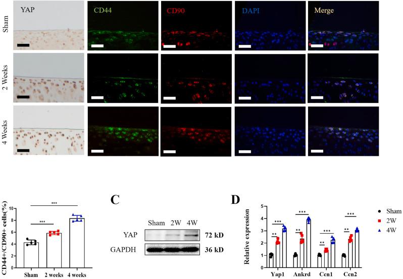 https://cdn.ncbi.nlm.nih.gov/pmc/blobs/a70e/11137389/87de1db9165d/gr4.jpg