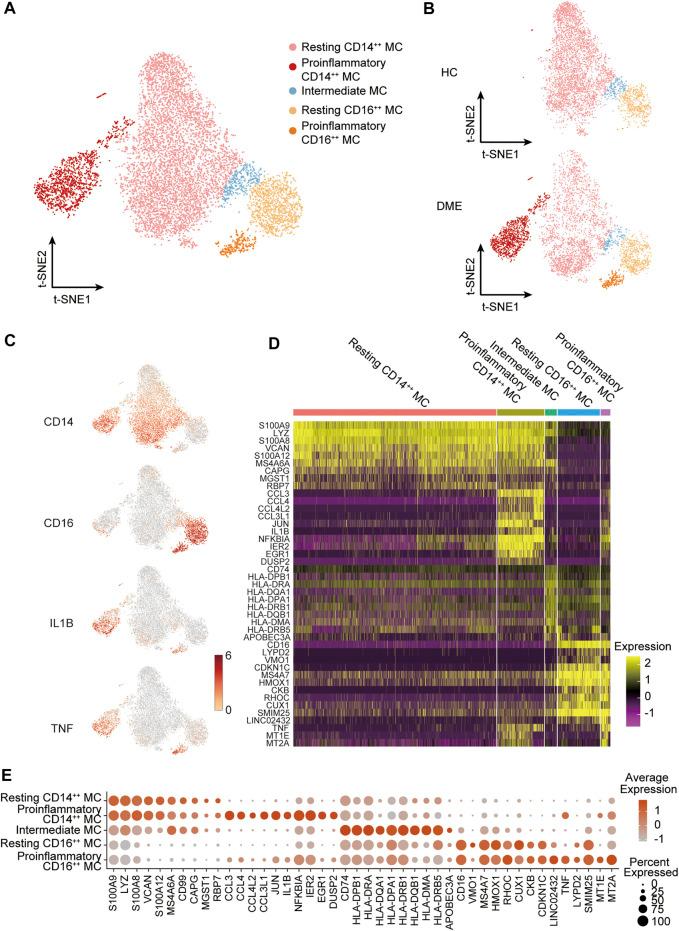 https://cdn.ncbi.nlm.nih.gov/pmc/blobs/a70e/8476792/7b5c7ad14a50/fphar-12-754933-g003.jpg