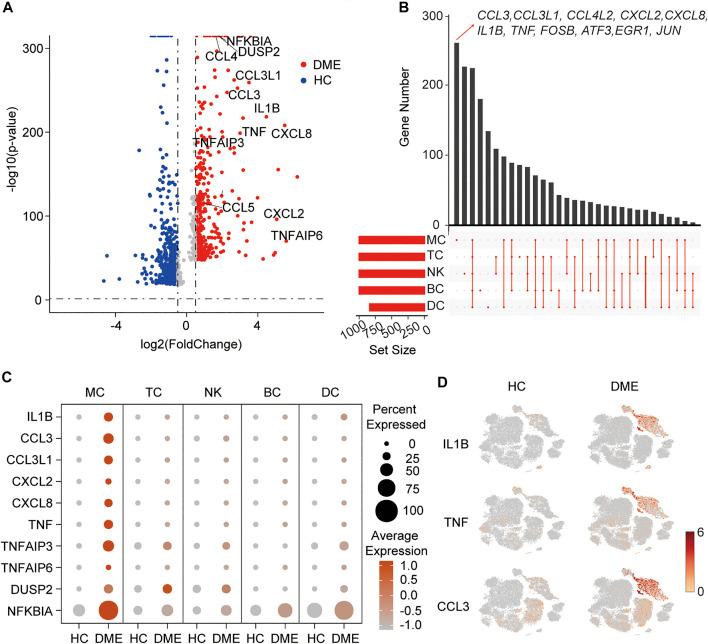 https://cdn.ncbi.nlm.nih.gov/pmc/blobs/a70e/8476792/9cc7950ddab6/fphar-12-754933-g002.jpg
