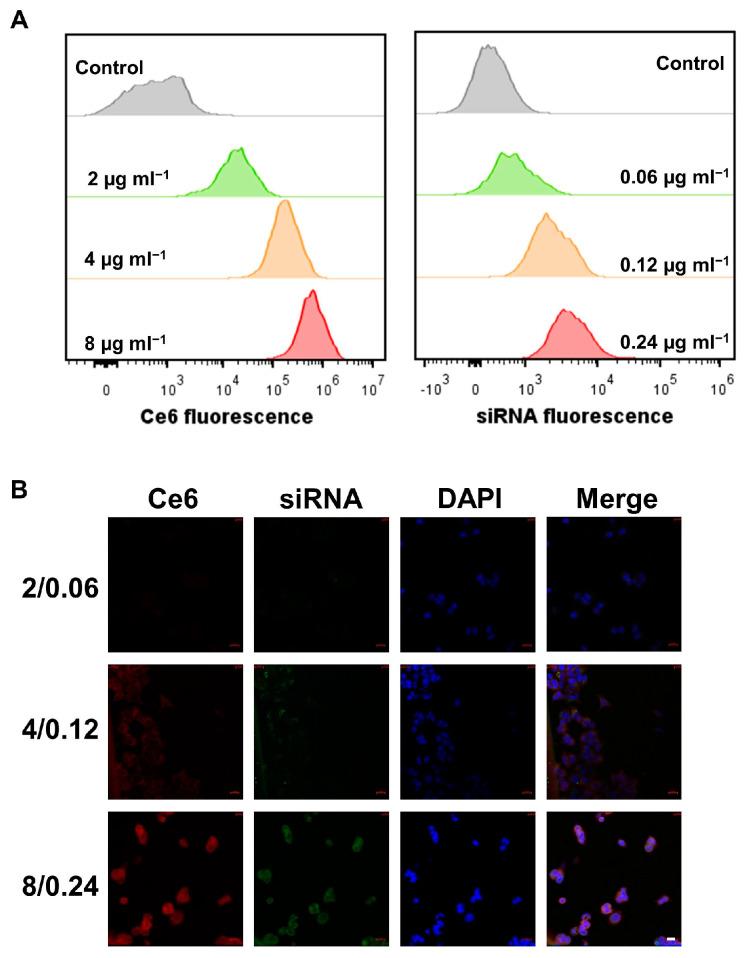 https://cdn.ncbi.nlm.nih.gov/pmc/blobs/a70f/11121309/67a78214444b/ijms-25-05424-g003.jpg