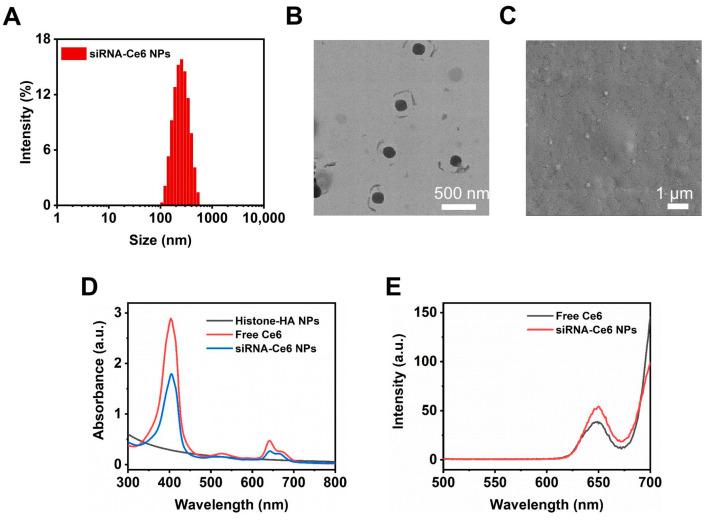 https://cdn.ncbi.nlm.nih.gov/pmc/blobs/a70f/11121309/dbe4fecd9a26/ijms-25-05424-g002.jpg