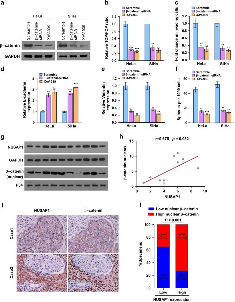 https://cdn.ncbi.nlm.nih.gov/pmc/blobs/a70f/6346521/1a6b22a627e9/13046_2019_1037_Fig7_HTML.jpg