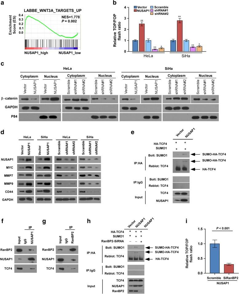 https://cdn.ncbi.nlm.nih.gov/pmc/blobs/a70f/6346521/66443e8862a9/13046_2019_1037_Fig6_HTML.jpg