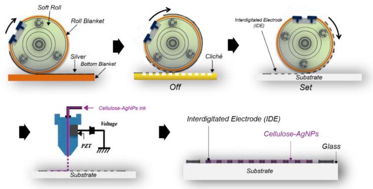 https://cdn.ncbi.nlm.nih.gov/pmc/blobs/a712/10892488/549ab5fdea08/nanomaterials-14-00343-g002.jpg