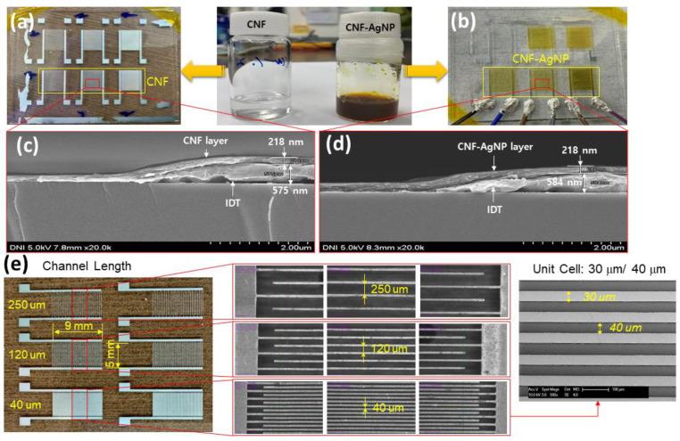 https://cdn.ncbi.nlm.nih.gov/pmc/blobs/a712/10892488/c0b9f41ed62c/nanomaterials-14-00343-g006.jpg