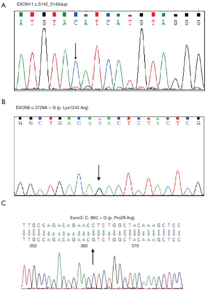 https://cdn.ncbi.nlm.nih.gov/pmc/blobs/a712/8798779/77ff30443198/tcr-09-11-7259-f18.jpg
