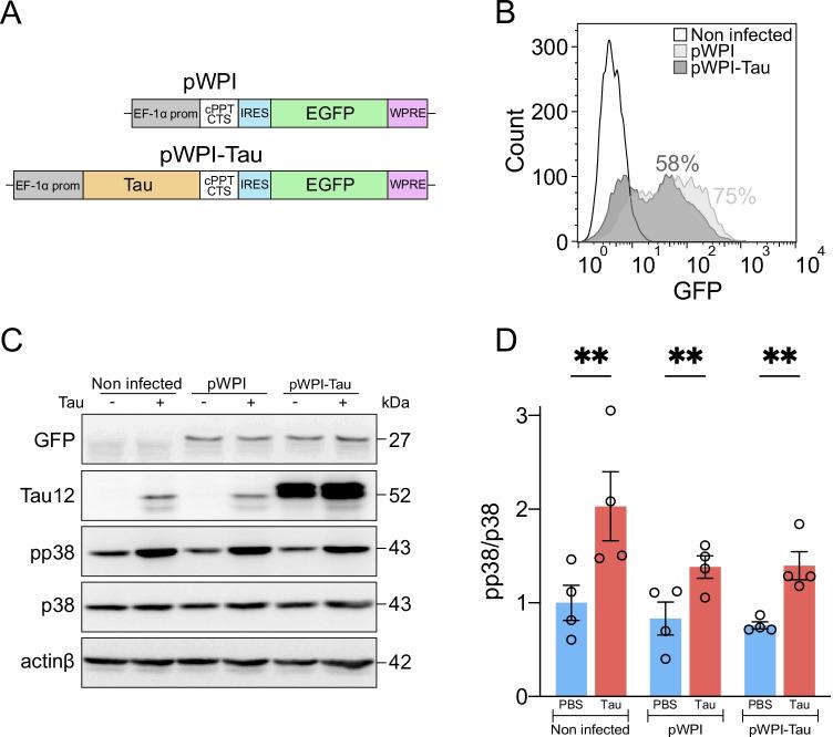 https://cdn.ncbi.nlm.nih.gov/pmc/blobs/a714/8882095/6a8b36c7535e/12035_2021_2715_Fig4_HTML.jpg