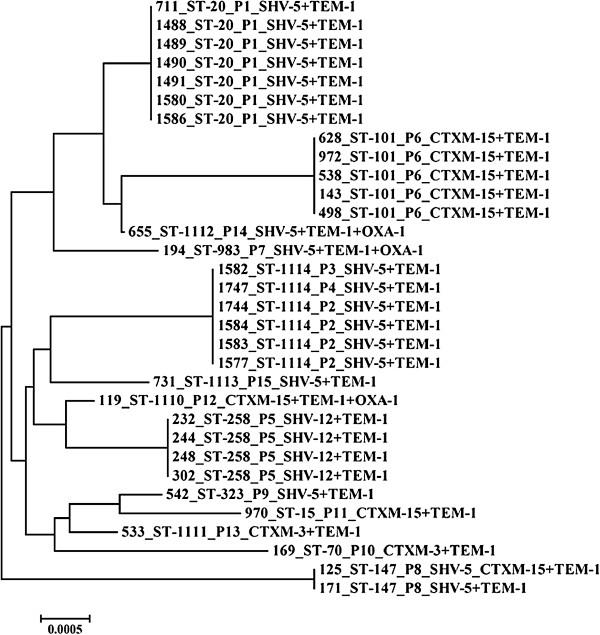 https://cdn.ncbi.nlm.nih.gov/pmc/blobs/a715/4011775/f93644a923f2/1471-2431-14-105-1.jpg