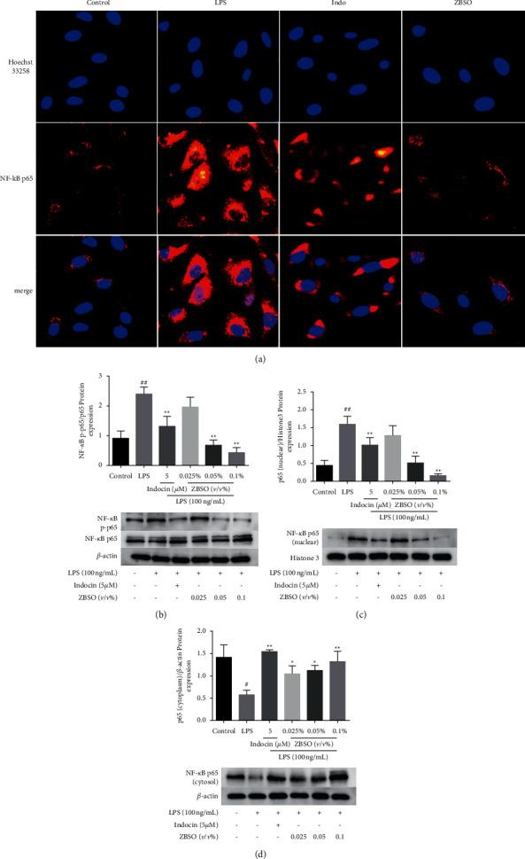 https://cdn.ncbi.nlm.nih.gov/pmc/blobs/a717/8486531/21ee42ecbf24/ECAM2021-2073296.006.jpg
