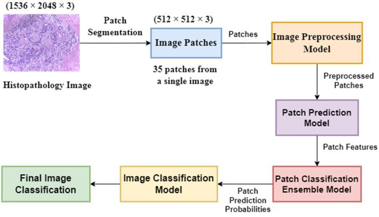https://cdn.ncbi.nlm.nih.gov/pmc/blobs/a717/9818545/1d81ab8822d8/diagnostics-13-00126-g001.jpg