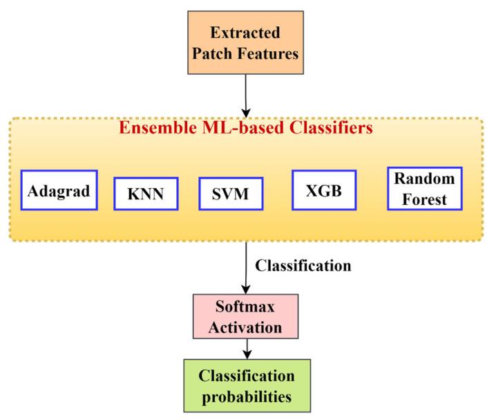 https://cdn.ncbi.nlm.nih.gov/pmc/blobs/a717/9818545/a9c13fd4750c/diagnostics-13-00126-g006.jpg