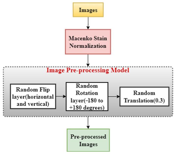 https://cdn.ncbi.nlm.nih.gov/pmc/blobs/a717/9818545/c9ffd826bb04/diagnostics-13-00126-g003.jpg
