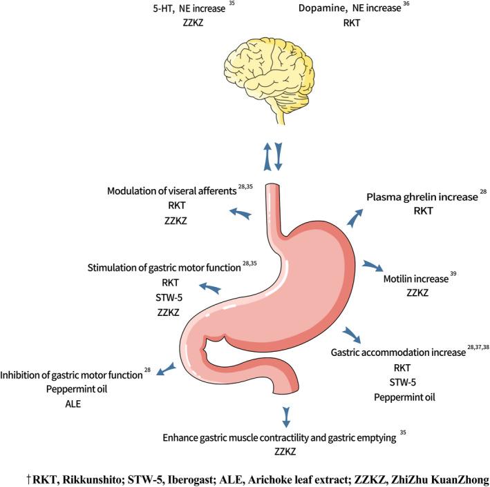 https://cdn.ncbi.nlm.nih.gov/pmc/blobs/a719/7900952/7594e22dfe10/NMO-33-e14044-g002.jpg